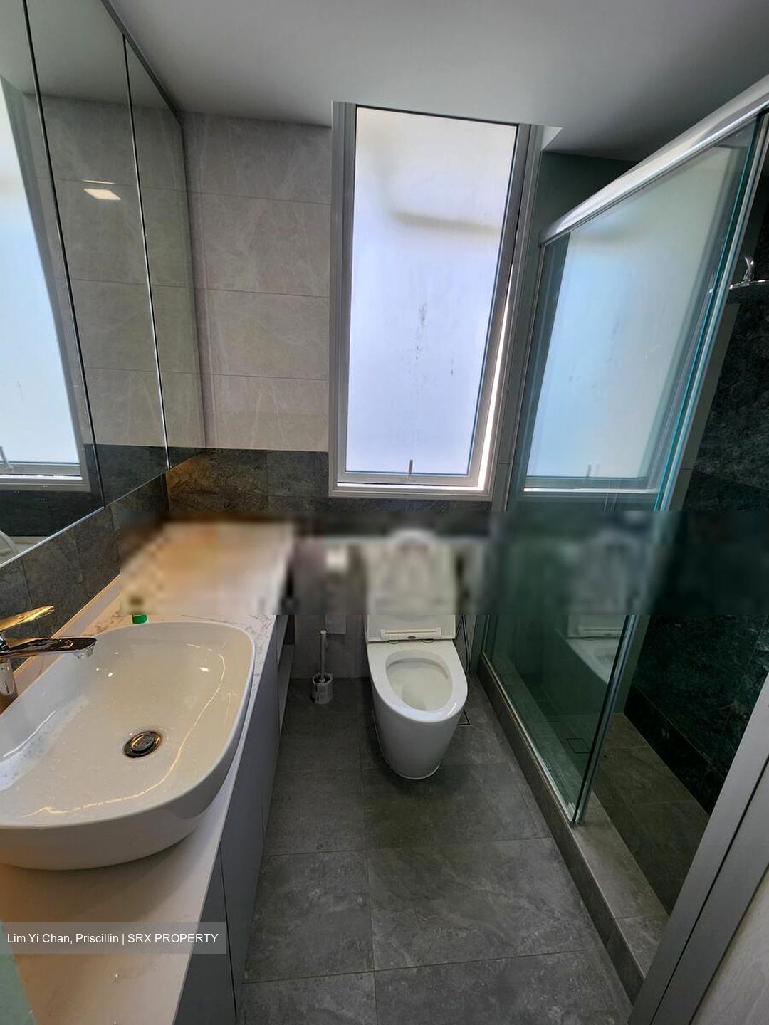 8 @ Mount Sophia (D9), Condominium #587738841